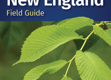 Trees of New England Field Guide (Tree Identification Guides)