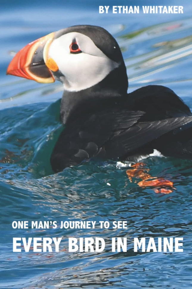 Every Bird In Maine: One Man's Journey to See Every Bird in Maine - A Photographic Account of a Maine Big Year in Birding
