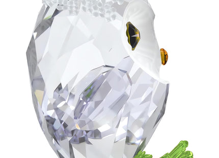 Swarovski Idyllia Baby Owl