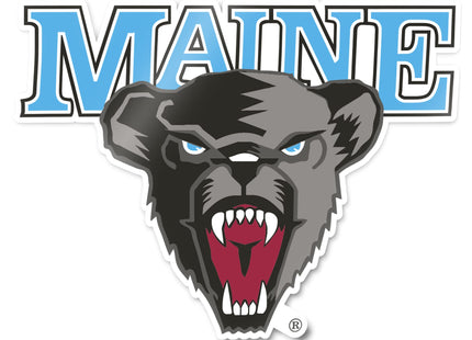 Desert Cactus Maine Black Bears Sticker Decal (IND 00001)