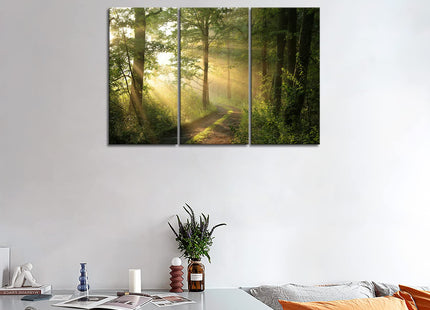 Forest Nature Wall Art Decor Sunshine Through Forest and Road Canvas Pictures Artwork 3 Panel Nuture Landscape Painting Prints for Home Living Dining Room Kitchen