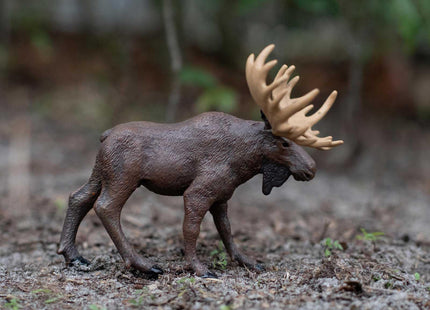 Safari Ltd. Moose Figurine - Realistic 5" Animal Figure - Educational Toy for Boys, Girls, and Kids Ages 1+