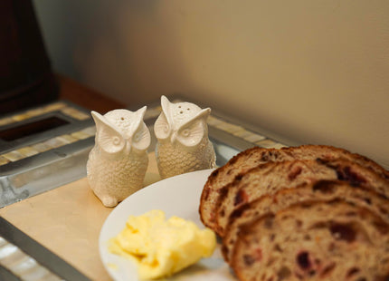 Fox Run Ceramic Owl Salt and Pepper Shakers, Set of 2 White Mini Seasoning Shakers, 2.4" x 3.5"