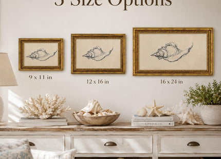 Framed Seashell Line Drawing Canvas Wall Decor, Retro Coastal Conch Painting Picture Poster Print, Minimalist Beach Artwork Home Decoration for Wall, Living Room, Bedroom 12x16in