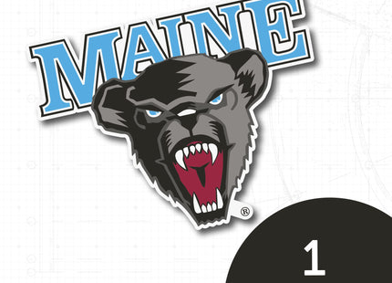 Desert Cactus Maine Black Bears Sticker Decal (IND 00001)