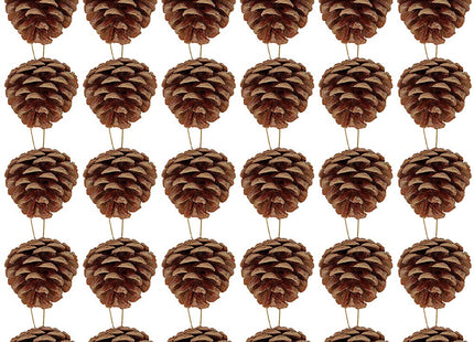 Supla 30 Pcs Christmas Hanging Real Preserved Pine Cones Ornaments 2"-3" Tall Christmas Tree Hanging Pinecone Ornaments