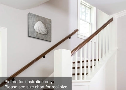 Niwo ART - Seashell, Sea Animail Canvas Wall Art Home Decor,Stretched Ready to Hang (12"x12"x1.5")