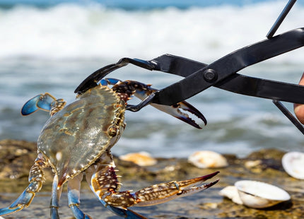 Lanties 2 Pcs Crab Tongs for Live Crabs 15.24" Heavy Duty Crab Grab Claws
