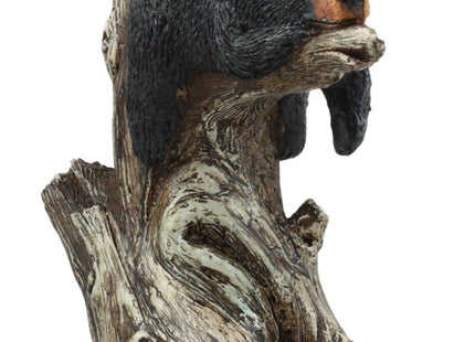Ebros Lazy Days of Summer Black Bear Sleeping On Tree Branch Statue Wildlife Forest Rustic Cabin Decor Bear Figurine