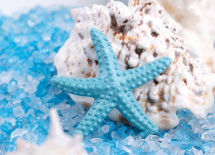 AUEAR, 16 Pack Resin Pencil Finger Starfish Decor Beach Ocean Flat Back Ornaments for Wedding Christmas Tree Home Decorations