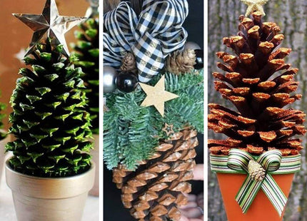 Supla 6 PCS 5"- 6" Tall Natural Pinecones Giant Pine Cones Large Pinecone Ornaments Real Preserved Pine Cones Big Pinecones