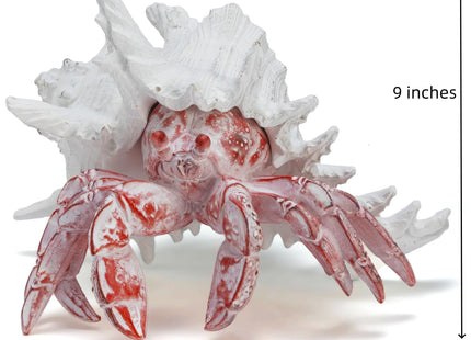 VVGIFTS Hermit Crab with Shell Beach Coastal Statue for Home Shelf Decor