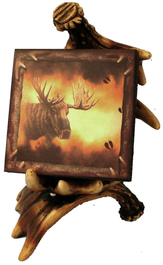 Wildlife Creations Moose Coaster Set