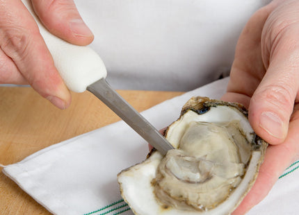 Mercer Culinary Boston Style Oyster Knife with Poly Handle, 3 Inch, White