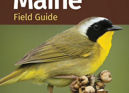 Birds of Maine Field Guide (Bird Identification Guides)