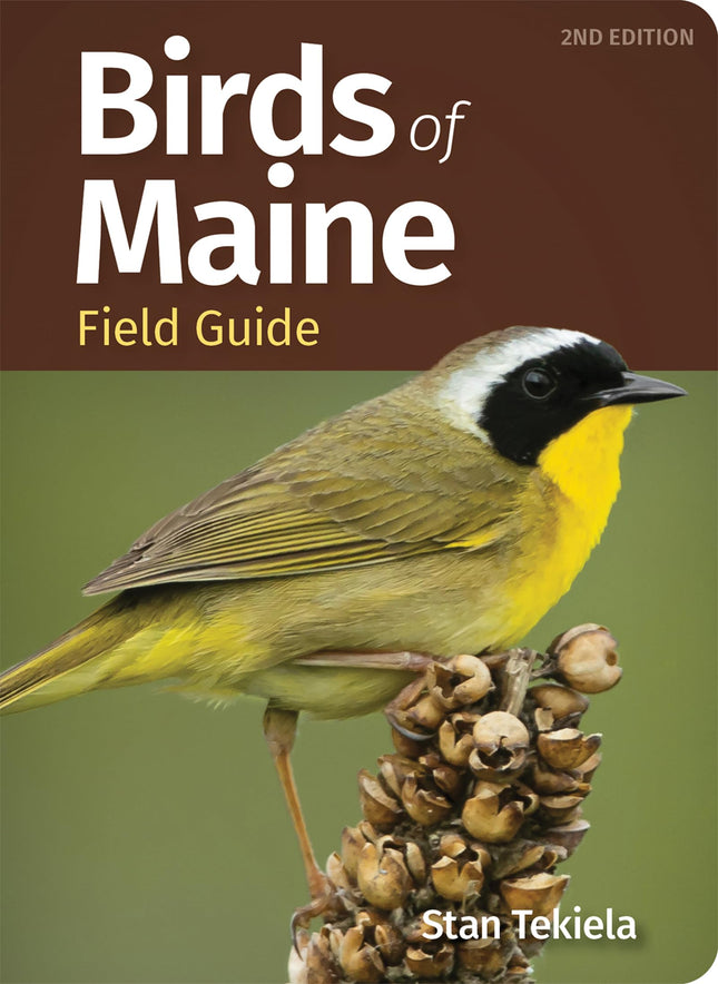 Birds of Maine Field Guide (Bird Identification Guides)