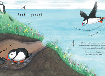 Puffin