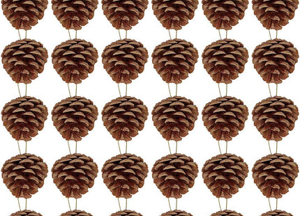Winlyn 30 Pcs Christmas Hanging Real Preserved Pine Cones Ornaments 2"-3" Tall Christmas Tree Hanging Pinecone Ornaments