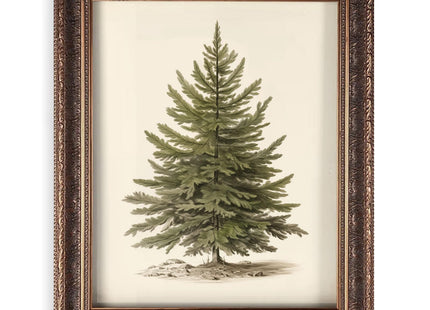 OFlyDesigns Vintage Christmas Tree Wall Art Print, Antique Botanical Pine Illustration (Vintage Christmas Tree, 8x10, Unframed)
