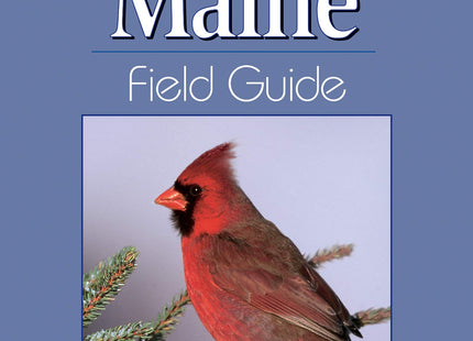 Birds of Maine Field Guide