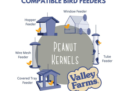 Valley Farms Whole Peanut Kernels (4 LB) Wild Bird Food for Outside Feeders, Peanuts for Birds, Chickadee Bird Seed for Outside Feeders, No Mess Bird Seed