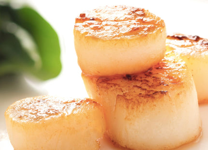 Today Gourmet Foods of NC - Scallops - U10 Dry (5lb Pkg)