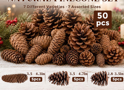 JOHOUSE 50 PCS Large Natural Pinecone Ornaments, Pine Cones Bowl Fillers