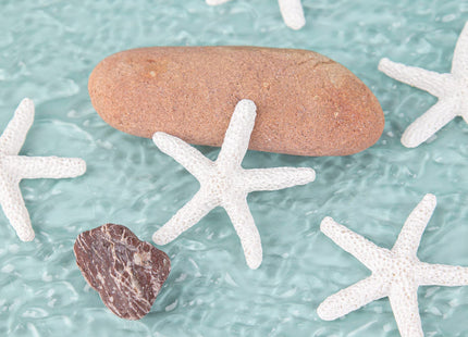 Framendino, 30 Pack 2.3 Inch White Starfish Resin Pencil Finger Decor Ornaments for Home Wedding Christmas Decorations