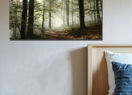 Foggy Forest Canvas Wall Art Home Office Decor Smoky Pine Tree Spring Frame