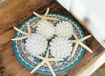 Tumbler Home Real Seashell Decorative Balls for Beach House Decor