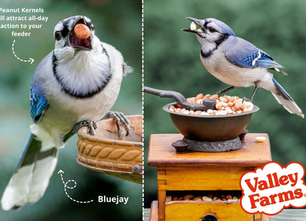 Valley Farms Whole Peanut Kernels (4 LB) Wild Bird Food for Outside Feeders, Peanuts for Birds, Chickadee Bird Seed for Outside Feeders, No Mess Bird Seed