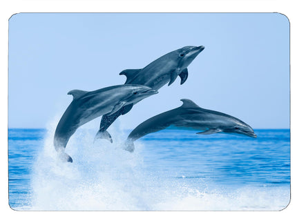 Dolphin Jumping Coastal Shoreline Waves Sandy Beach Kitchen Glass Cutting Board Ocean Decorative Gift (Dolphin Jumping)