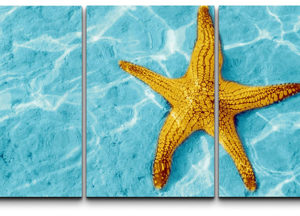 wall26 - 3 Piece Canvas Wall Art - Starfish in Blue Water with Light Reflection. - Modern Home Art Stretched and Framed Ready to Hang - 24"x36"x3 Panels