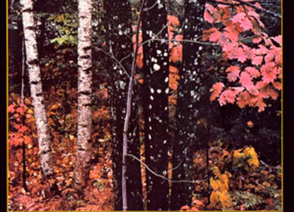 The Maine Woods (Penguin Nature Library)
