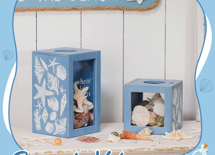 Synovana Seashell Holder Wooden Seashell Display Box Beach Coastal Decor Acrylic Sea Shell Display Holder Home Decor, 4.25 x 4.25 x 7.25 inches
