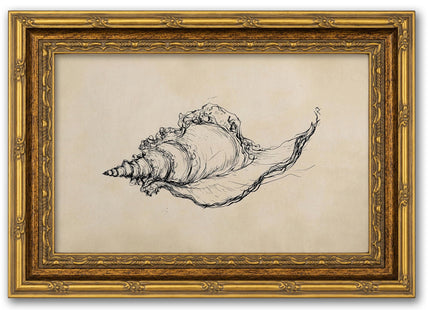 Framed Seashell Line Drawing Canvas Wall Decor, Retro Coastal Conch Painting Picture Poster Print, Minimalist Beach Artwork Home Decoration for Wall, Living Room, Bedroom 12x16in
