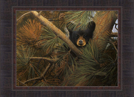 High and Lonesome by Derk Hansen 17x21 Black Bear Cub Sitting In Pine Tree Framed Art Print Wall Décor Picture