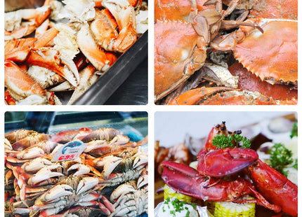 10 Pcs Seafood Tools Set, Crab Lobster Crackers