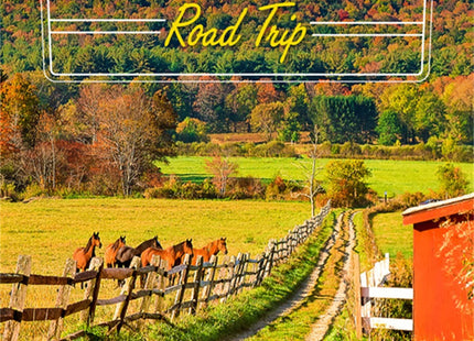 Moon New England Road Trip: Seaside Spots, Majestic Mountains & Fall Foliage, Cozy Getaways (Travel Guide)