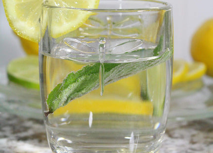 La Rochere Dragonfly Tumbler Glasses Set/6