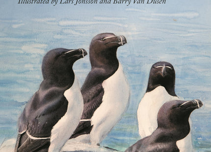 Birds of Maine