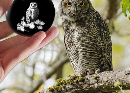 PYJ3DLAMP 3D Owl Crystal Ball with Stand Lase Engraved Glass Sphere Paperweight Owl Decor Gift