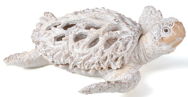 VVGIFTS Ocean White Sea Turtle Coral Reef Beach Coastal Home Shelf Decor