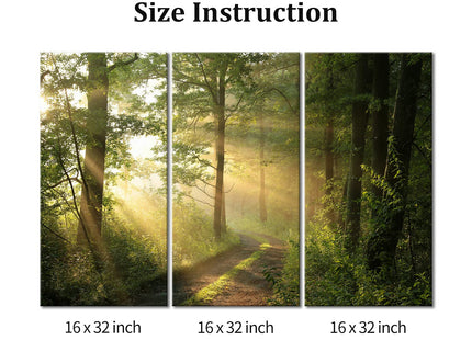 Forest Nature Wall Art Decor Sunshine Through Forest and Road Canvas Pictures Artwork 3 Panel Nuture Landscape Painting Prints for Home Living Dining Room Kitchen