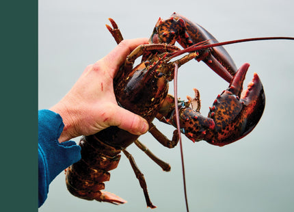 A Kitchen on Goose Cove: Recipes from the Heart of Maine