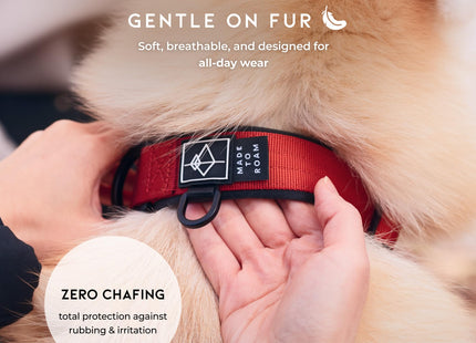 MADE TO ROAM Comfort Collar - Adjustable Nylon Dog Collar with Soft Comfortable Padding, Light Aviation Aluminum Metal Buckle for Small, Medium and Large Dogs (Maine Marina, Size 1)