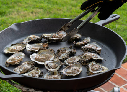 King Kooker 5500 Stainless Steel Oyster Opener, with Oyster Knife