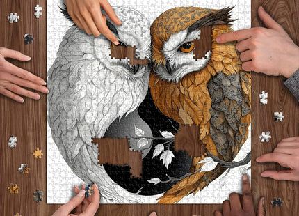 Yin Yang Owl Jigsaw Puzzle 1000 Pieces for Adults,Unique Bird Jigsaw Puzzle Features Dual Owl Balance, Black and White Animal Puzzle,Impossible Owl Home Wall Decor