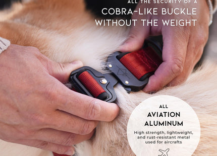 MADE TO ROAM Comfort Collar - Adjustable Nylon Dog Collar with Soft Comfortable Padding, Light Aviation Aluminum Metal Buckle for Small, Medium and Large Dogs (Maine Marina, Size 3)