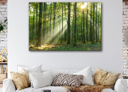 Morning Sunlight Forest Wall Art Nature Scenery Pictures Wall Decor Sunrise Woodland Painting for Living Room Rustic Green Grass Scenic Photography Prints Canvas Artwork Bedroom Home Decoration 32x48"